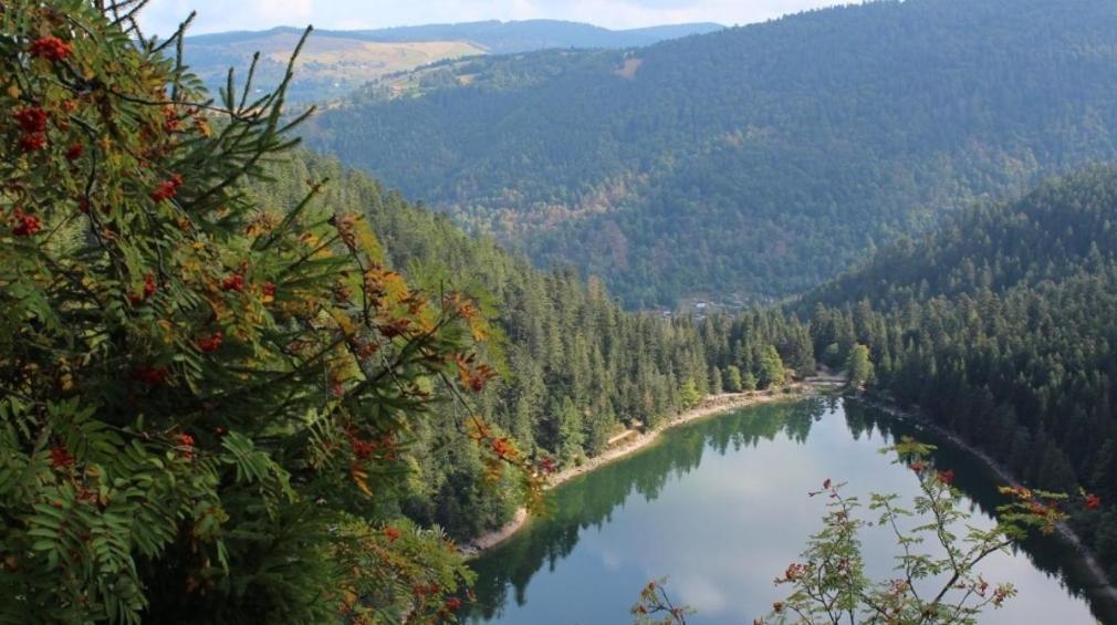 勒蒂约Location Chalets别墅 外观 照片